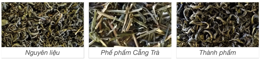 Kết quả phân loại Máy tách màu trà TTQ6