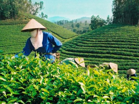 35f4906cc6f5eb3dd97a1301f8609359-15480375858791372891219-crop-15547819018622108195775