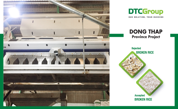 thayDongThap_KimHang_Eng