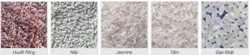 Kết quả phân loại Máy tách màu gạo SC64