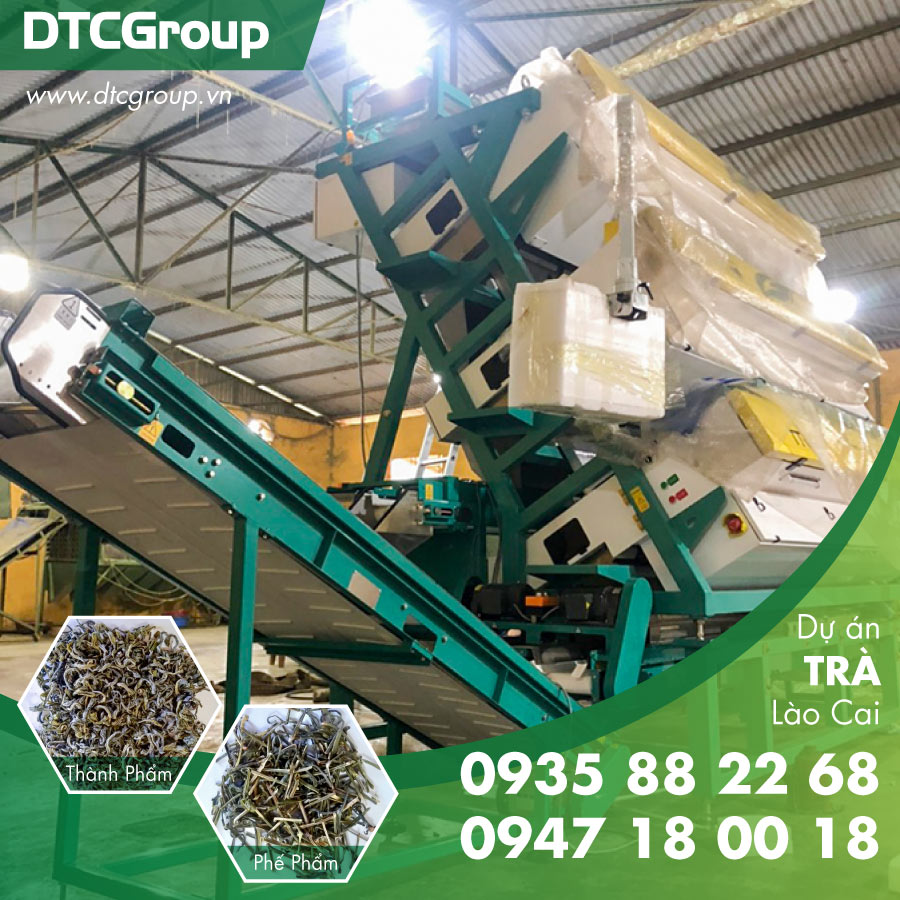 LaoCai_20201103_900x900