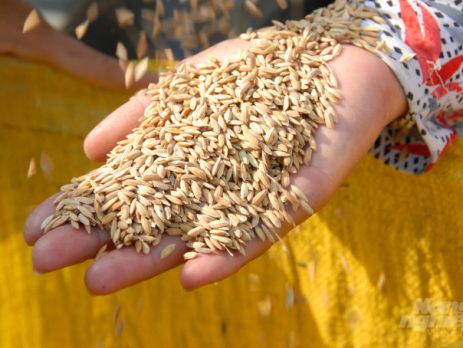 watermark_anh-4-1530_20210812_625-153512