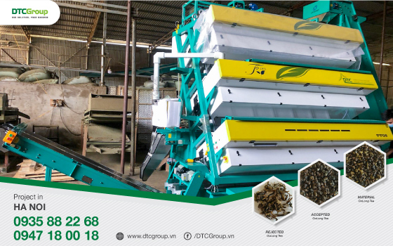 DTC-Web-TTQ6-211109-Eng-1