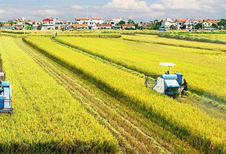 photo1567302697579-1567302698039-crop-1567302766108140717525