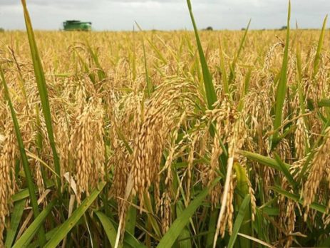 photo1644823630678-16448236309101378951236