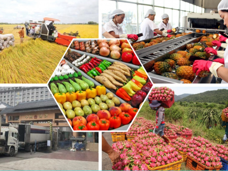 2-16698933353881317865788-0-192-1130-2000-crop-1669893403129727406995