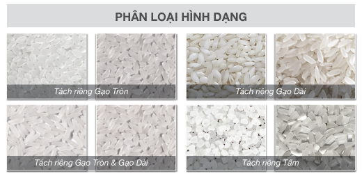 DTC - Phân loại hình dạng gạo - SC16
