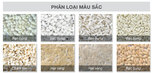 DTC - Phân loại màu sắc - SC16