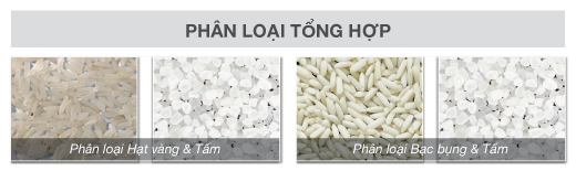 DTC - Phân loại tổng hợp - SC16