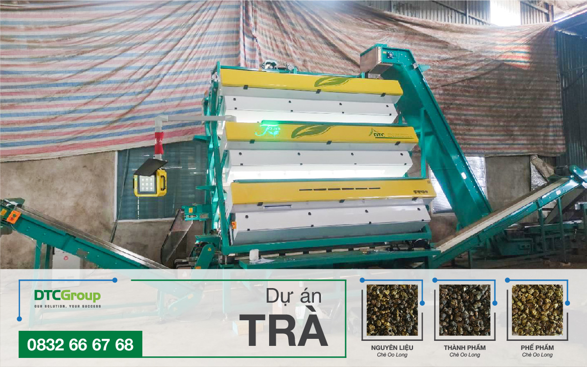 Dự án máy tách màu trà tại Phú Thọ