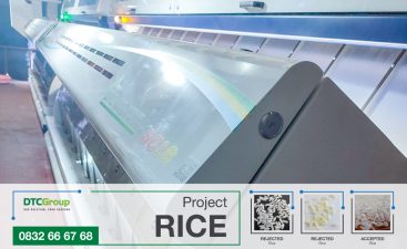 Project Rice Color Sorter in Long An