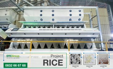 rice-coror-sorter-SC16-12 troughs