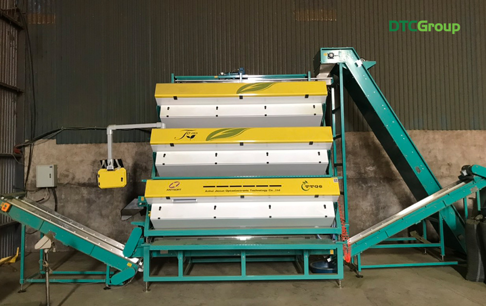 Máy tách màu trà được lắp đặt đầy đủ công nghệ của nhà DTCGroup
