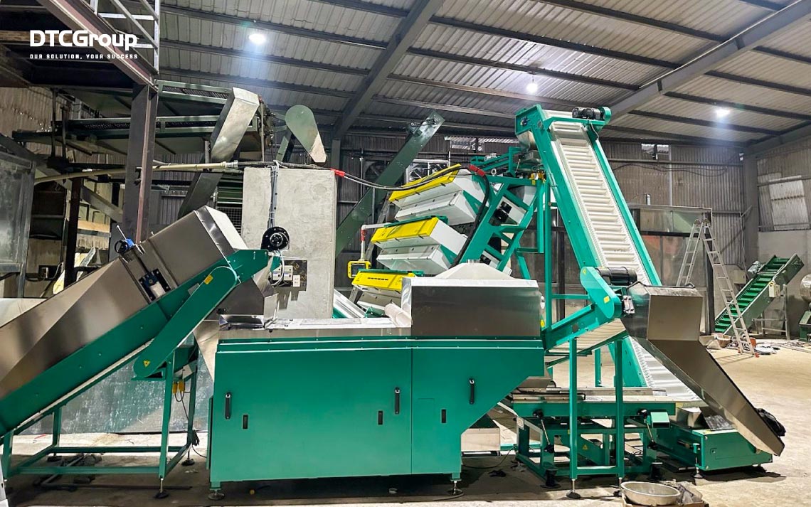 Dự án Máy tách màu Trà/Cẩng trà DF36