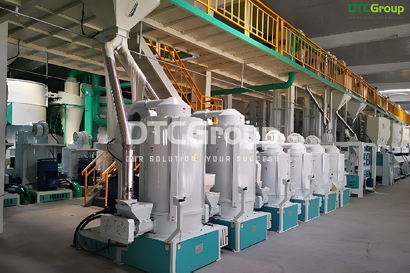 Máy xát gạo trắng đứng có trục đá