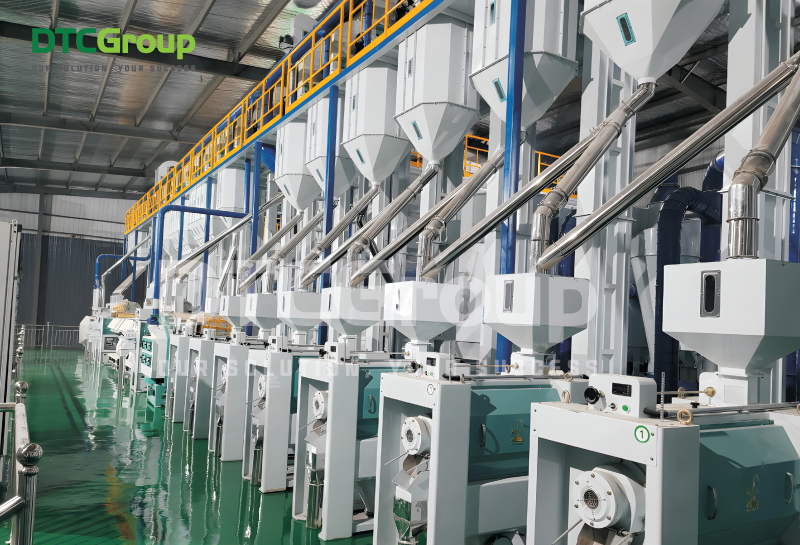 Dây chuyền xát trắng gạo ở trong nhà máy