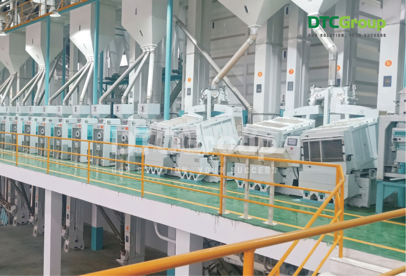 Máy gằng tách thóc đem đến hiệu suất dây chuyền xay xát chất lượng nhất