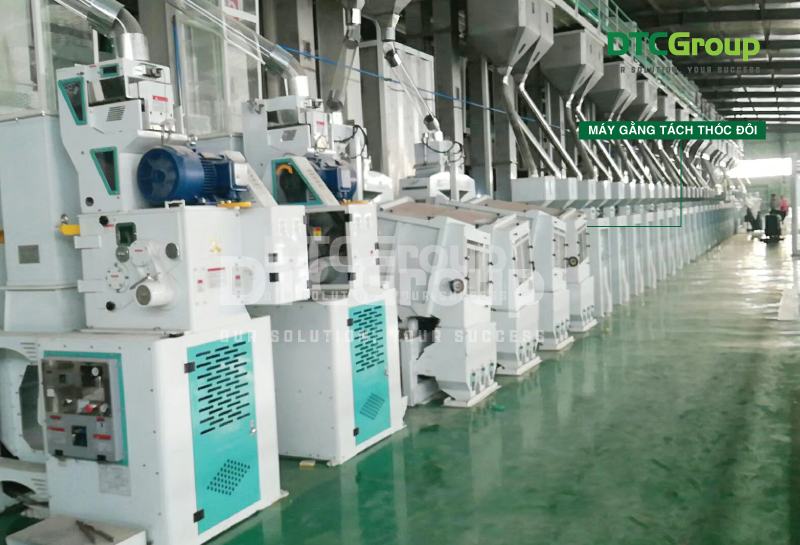 Hệ thống xay xát lúa gạo bao gồm máy gằng tách thóc