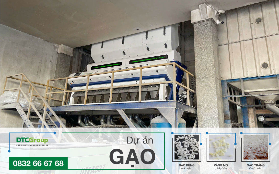 Dự án máy tách màu gạo SC12 tại Tiền Giang - Ảnh bìa