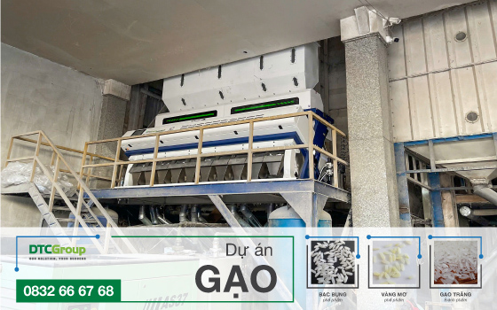 Dự án máy tách màu gạo SC12 tại Tiền Giang