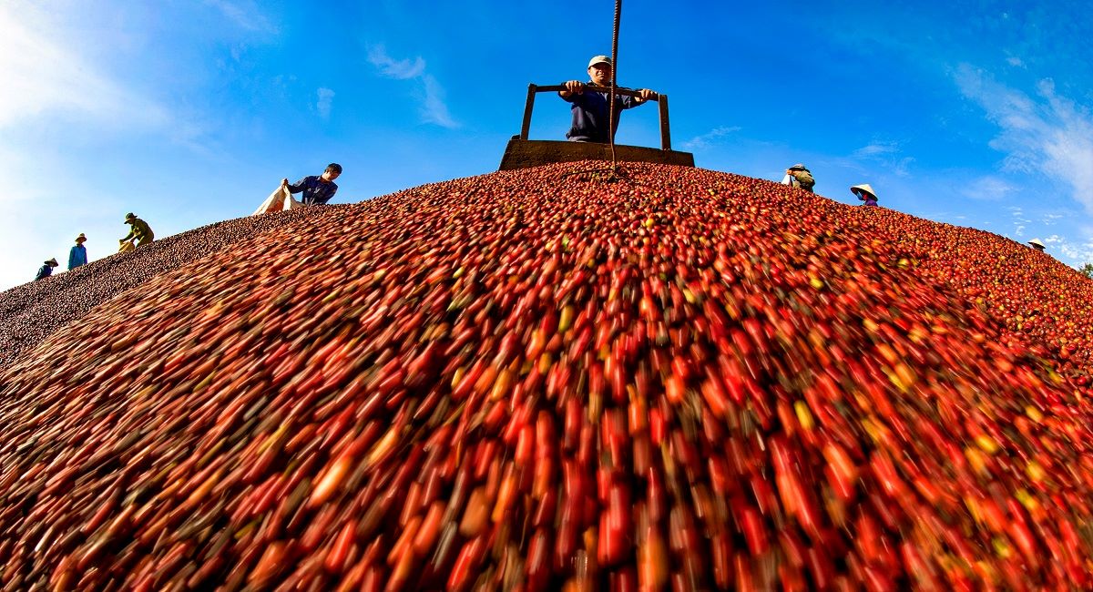 festival-ca-phe-buon-ma-thuot-su-kien-uy-tin-cua-nganh-ca-phe-2